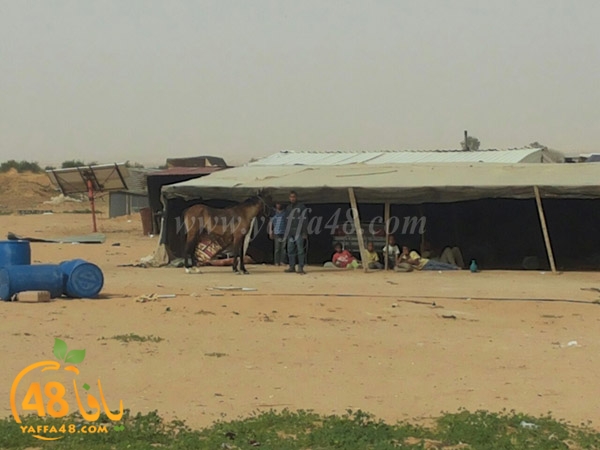 7araka naqab jsawrw (30).JPG